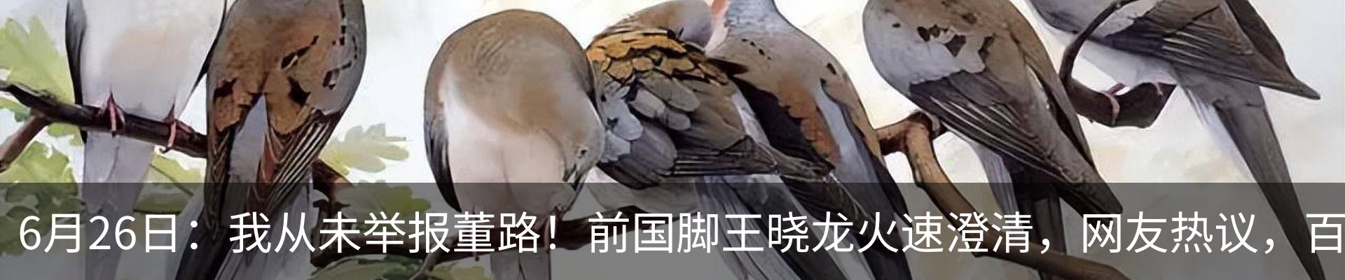 行业资讯